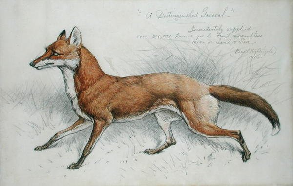 Ein angesehener General von Basil J. Nightingale