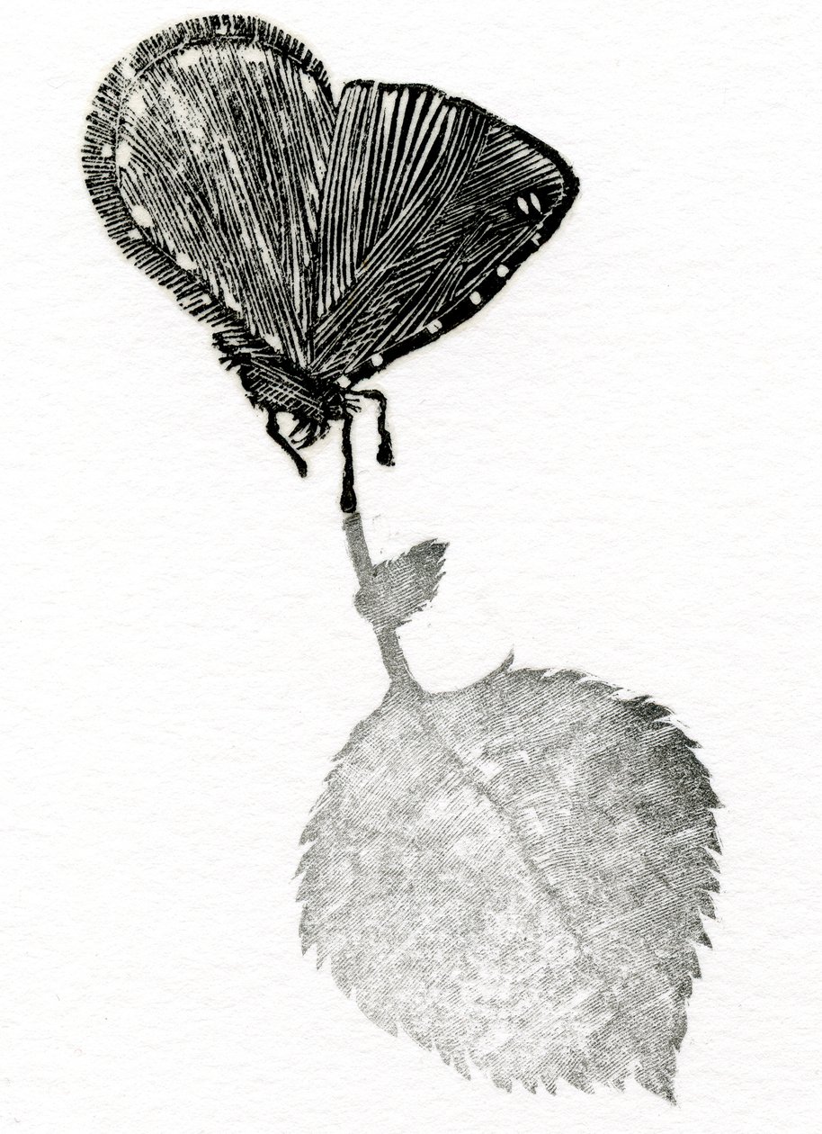 Spannung, 2014 von Bella Larsson