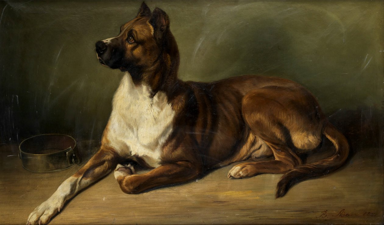 Benno Adam Porträt eines Hundes 1852 von Benno Adam