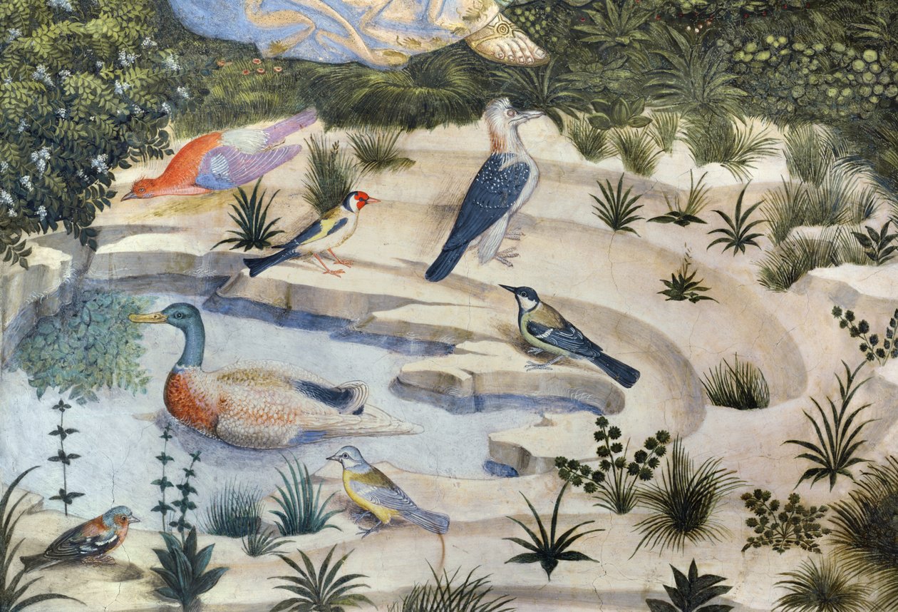 Vögel um einen Teich, Detail aus dem Zyklus der Reise der Heiligen Drei Könige in der Kapelle, ca. 1460 (Detail) von Benozzo di Lese di Sandro Gozzoli