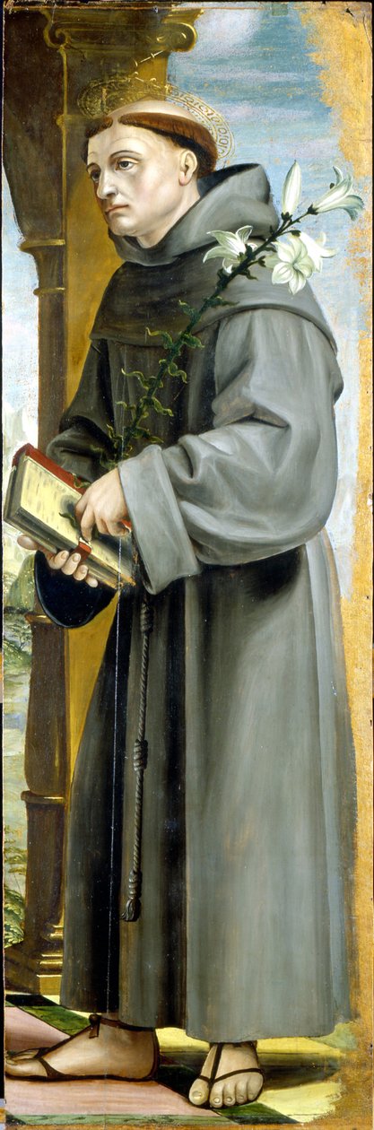 Heiliger Antonius von Padua von Bernadino Zenale