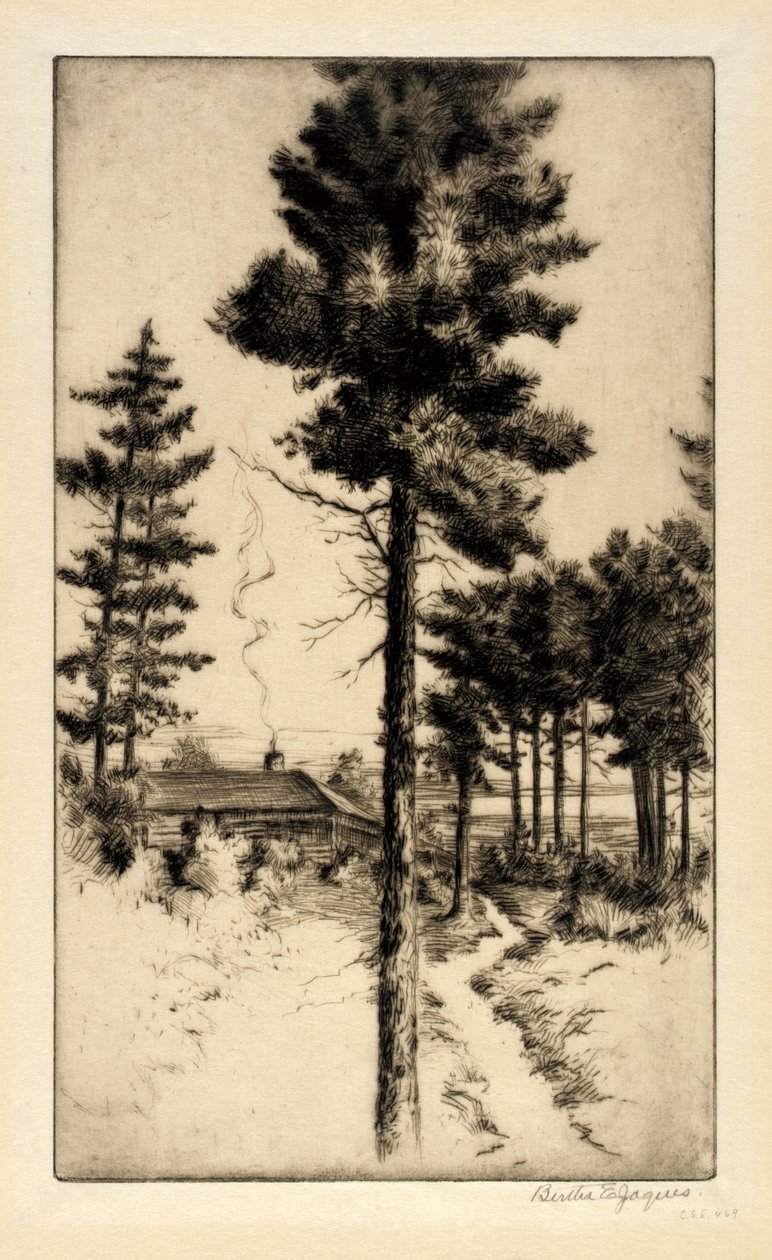 Hütte in der Wildnis von Bertha E. Jaques