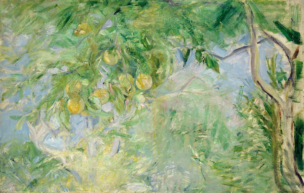 Orangenbaumzweige, 1889 von Berthe Morisot