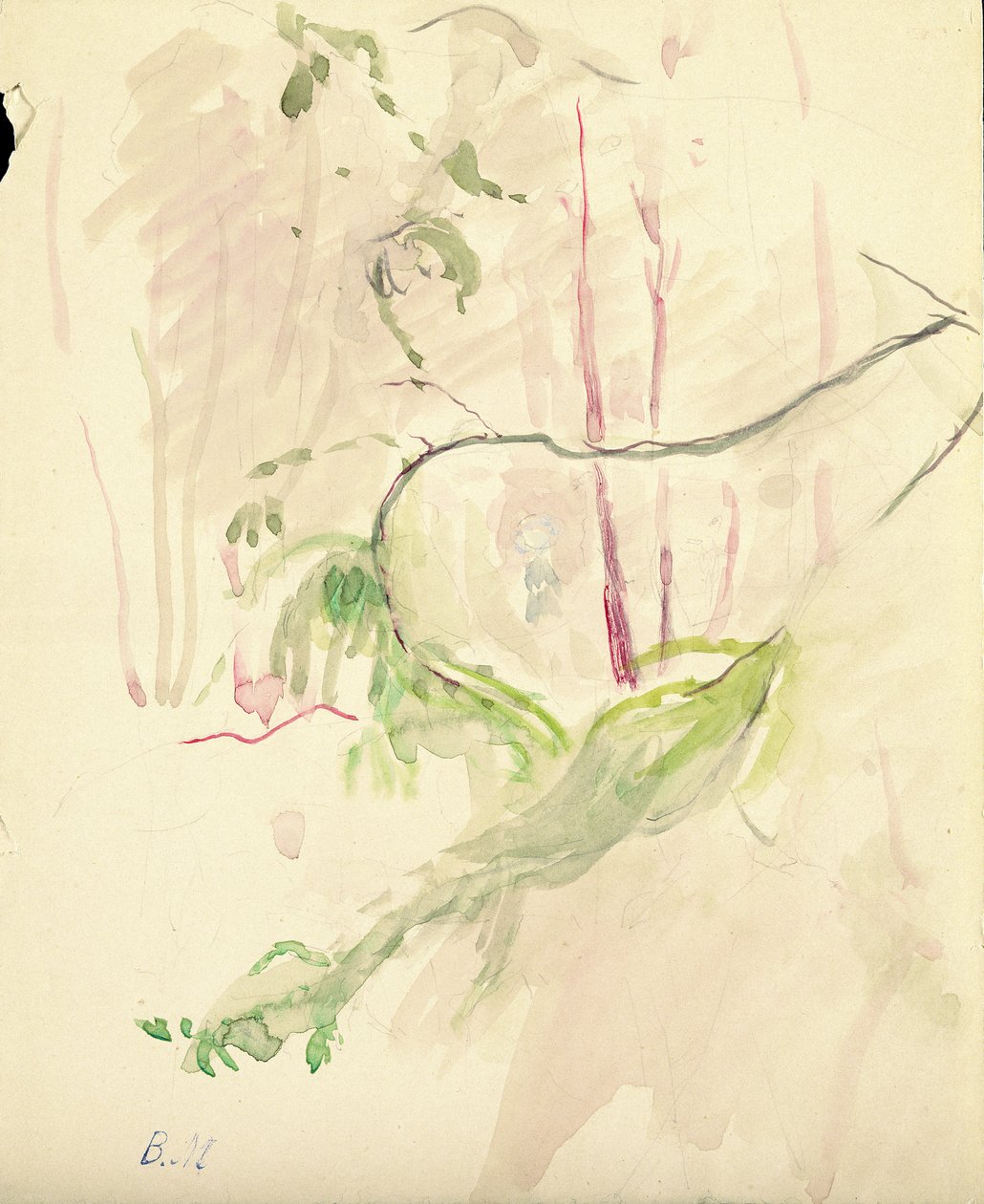 Baumzweige, 1893 von Berthe Morisot