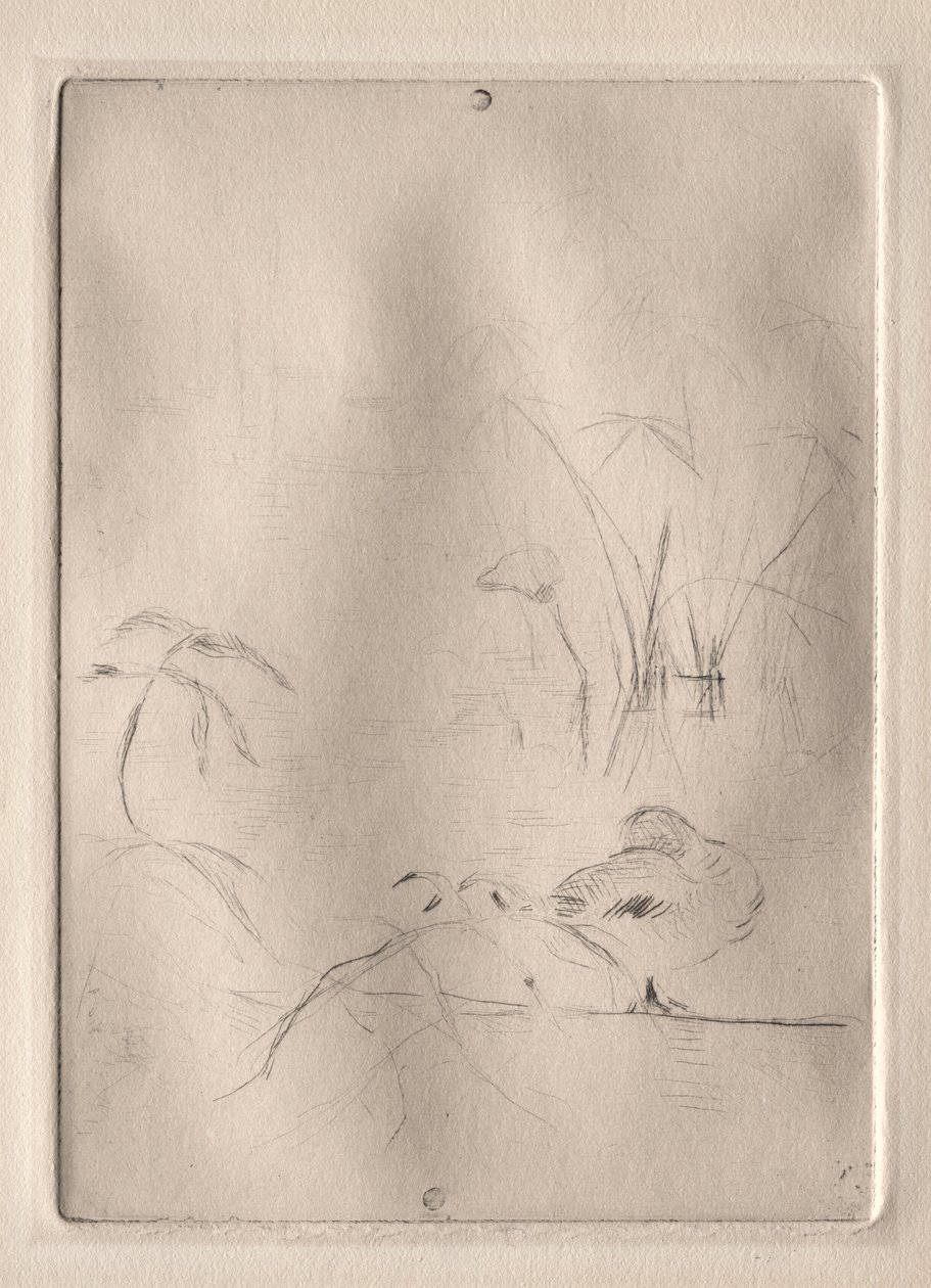 Die Ente von Berthe Morisot