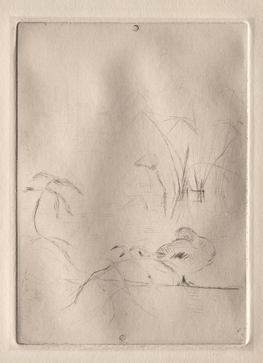 Die Ente von Berthe Morisot