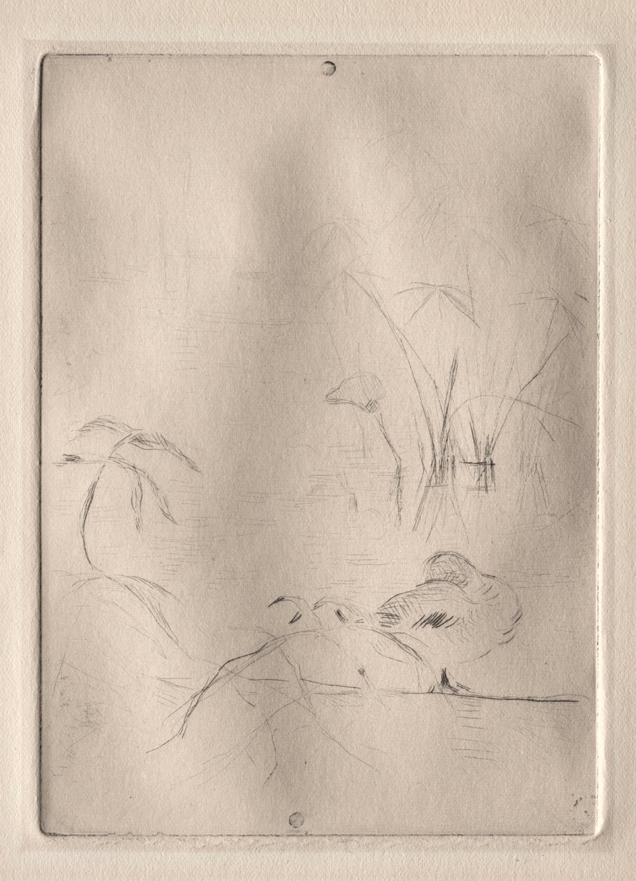 Die Ente, 1888-90 von Berthe Morisot
