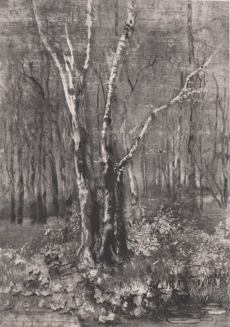 Wald im Park bei Monza, 1895 von Bianchi Mose
