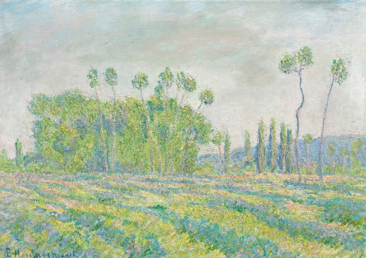 Giverny, Pappeln des Ajoux von Blanche Hoschede Monet