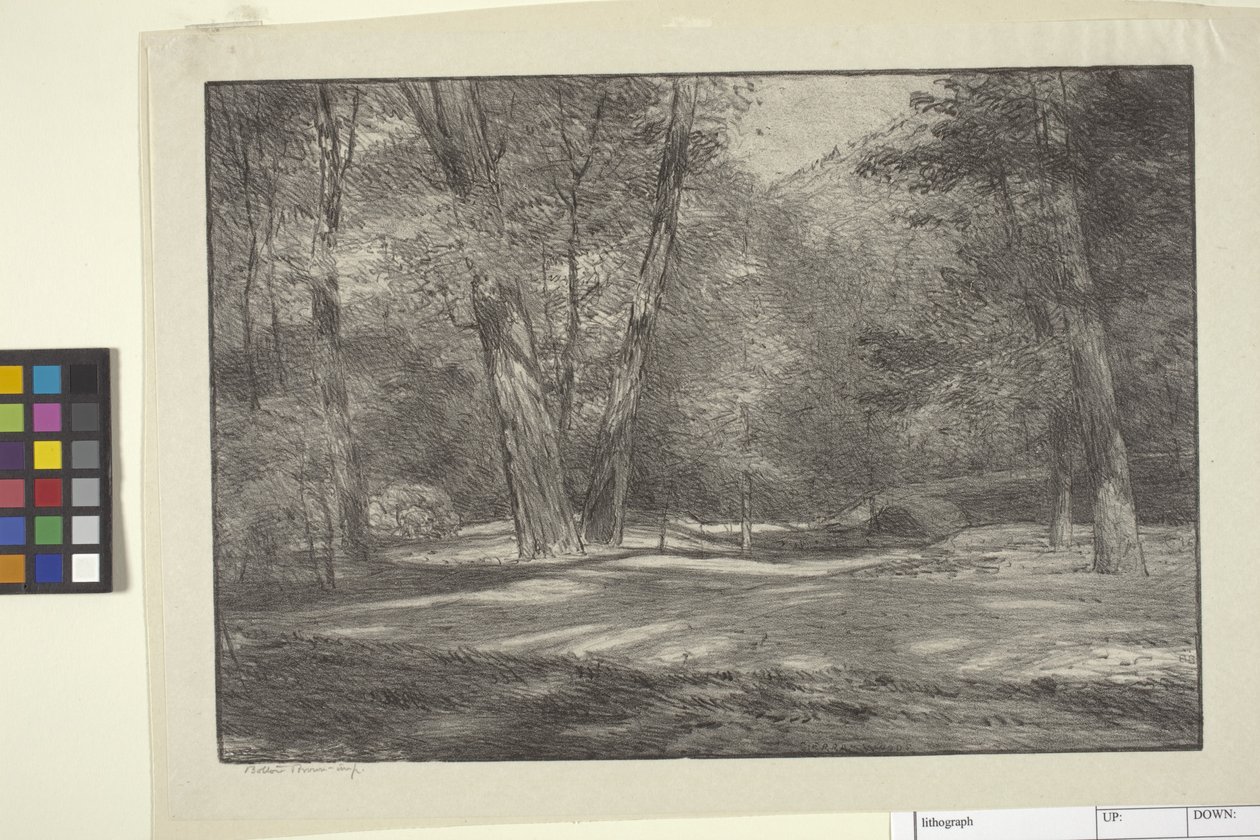 Sierra-Wälder von Bolton Coit Brown