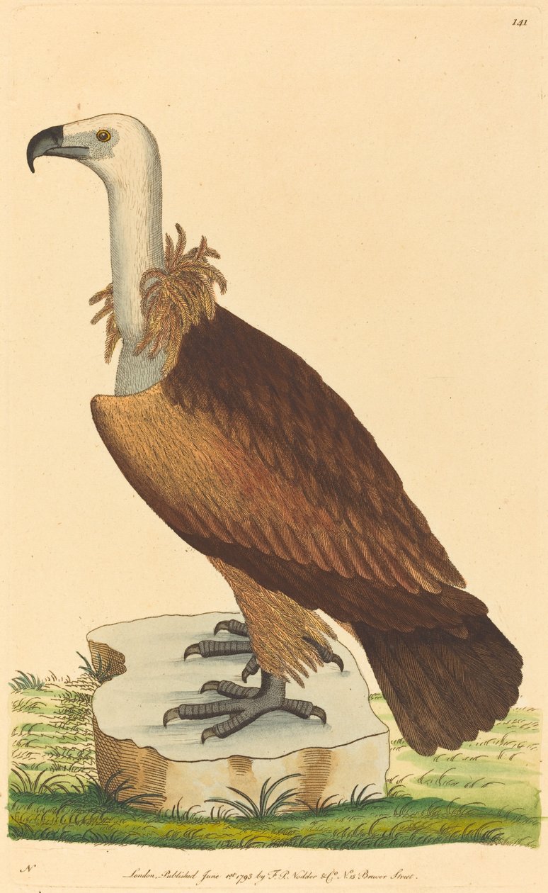 Der Alpengeier von British 18th Century