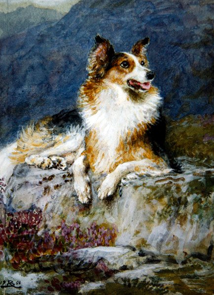 Collie in einer Landschaft von Briton Riviere