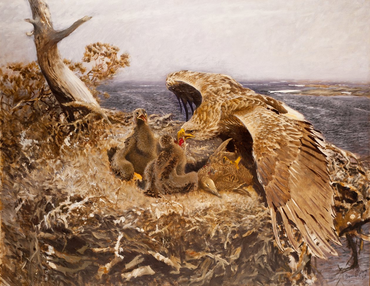 Seeadlernest, 1907 von Bruno Andreas Liljefors
