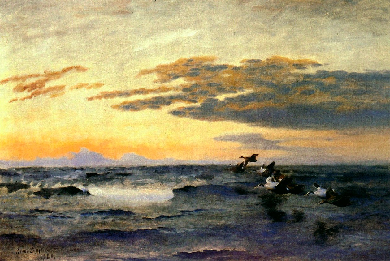 Eiderenten bei Sonnenaufgang von Bruno Andreas Liljefors
