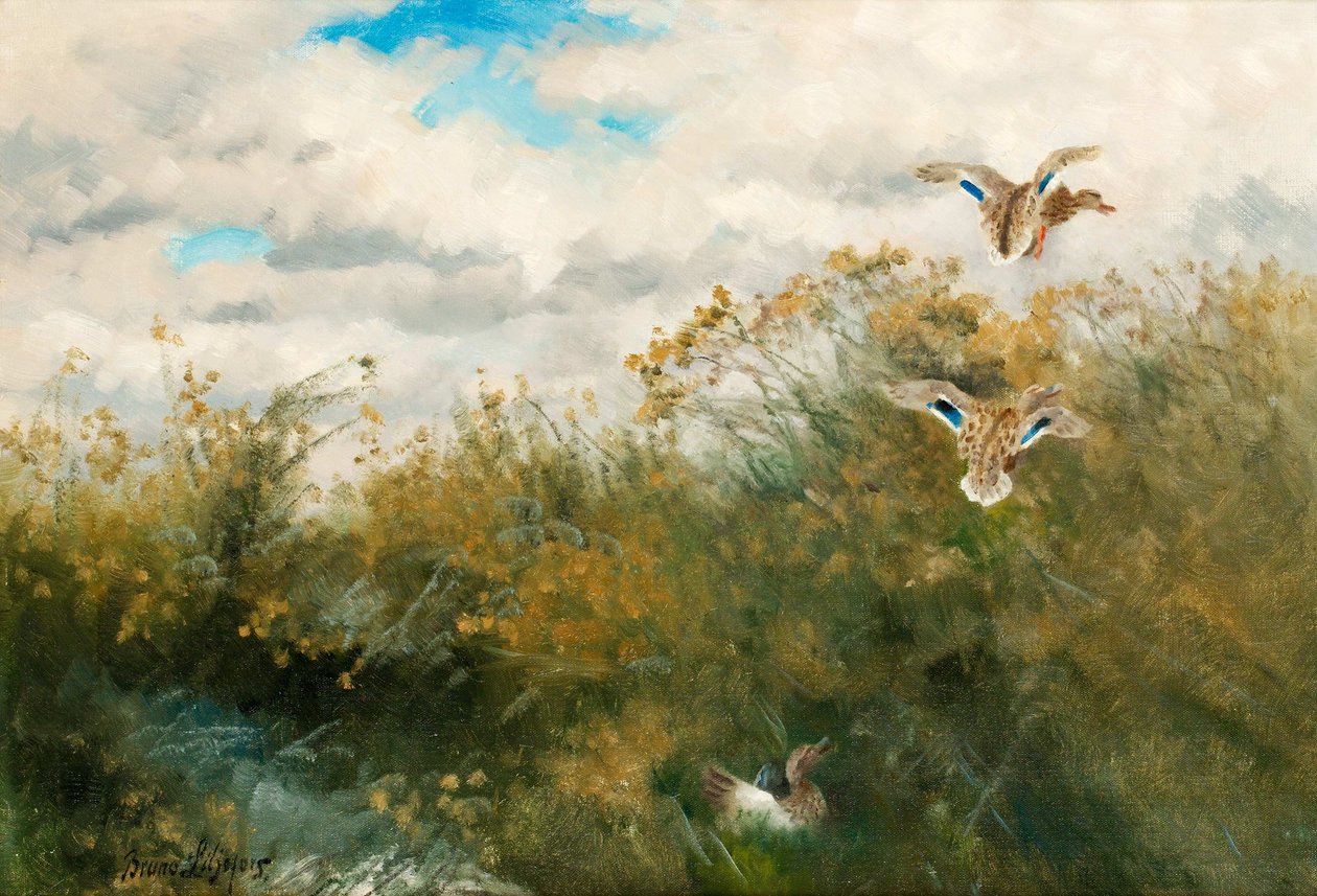 Grasander von Bruno Andreas Liljefors
