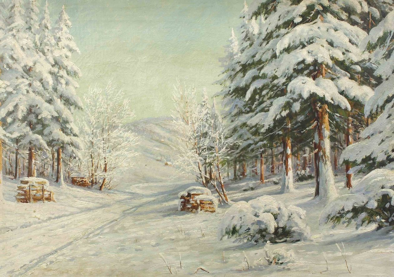 Winterlandschaft von Bruno Moras