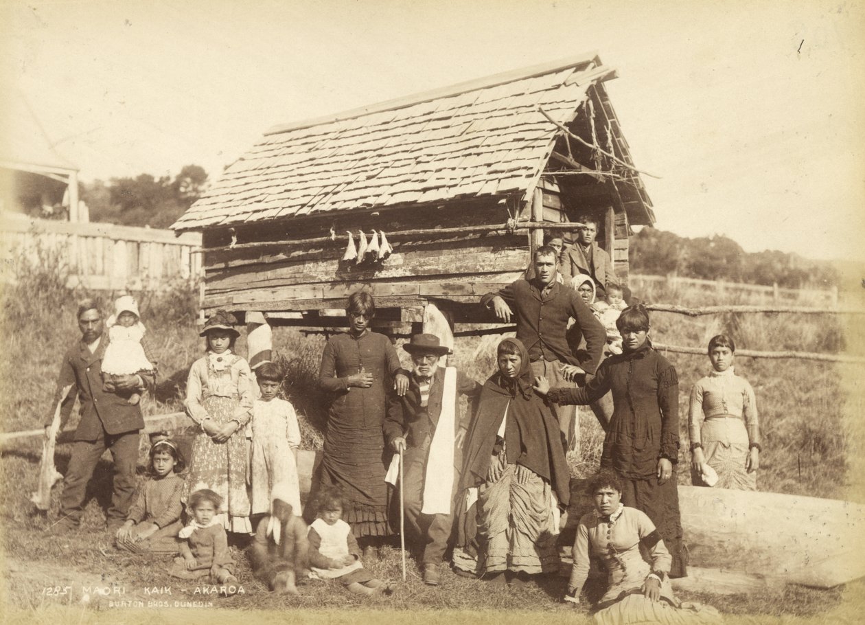 Maori Kaik - Akoroa, ca. 1884 (Albuminabzug) von Burton Brothers Studio