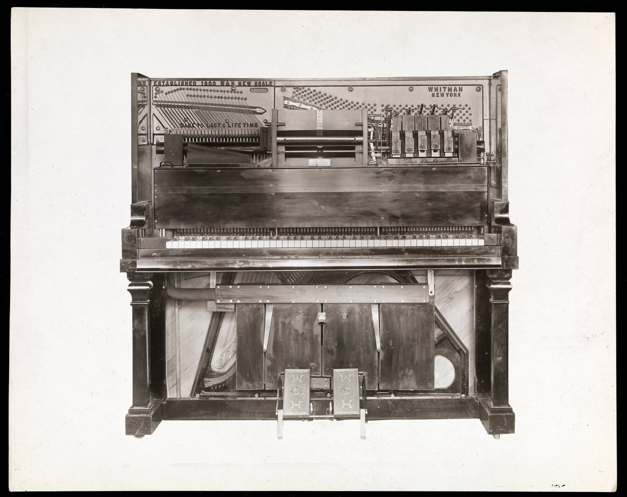 Ein Pianola, 1915-16 (Silbergelatineabzug) von Byron Company