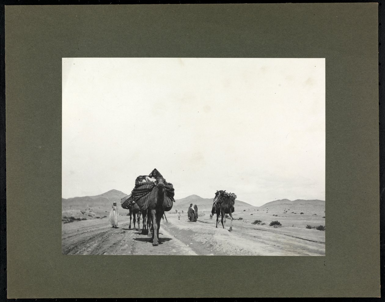 Kamele auf einer Schotterstraße, vermutlich in Nordafrika, 1899 von Byron Company