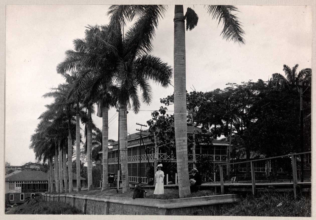 Gruppe von zwei Männern und einer Frau unter einer Palme während des Baus des Panamakanals, 1912 oder 1913 von Byron Company