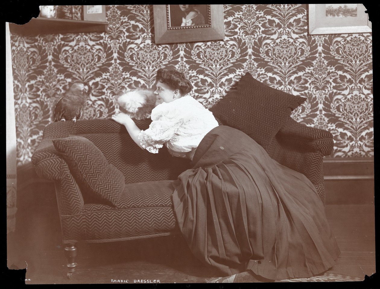 Marie Dressler zu Hause mit Hund und Papagei, 1905 von Byron Company