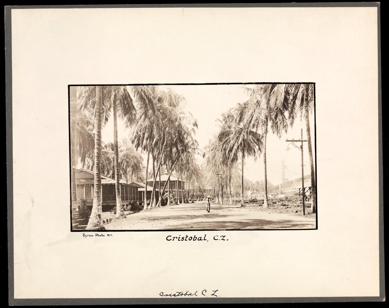 Ansicht einer von Palmen gesäumten Schotterstraße durch Cristobal, Panama, während des Baus des Kanals, 1912 oder 1913 von Byron Company