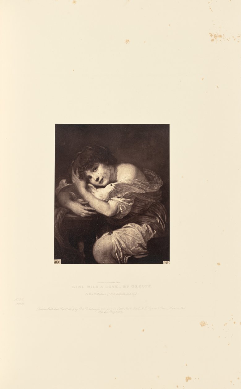 Mädchen mit Taube, von Greuze von Caldesi and Montecchi
