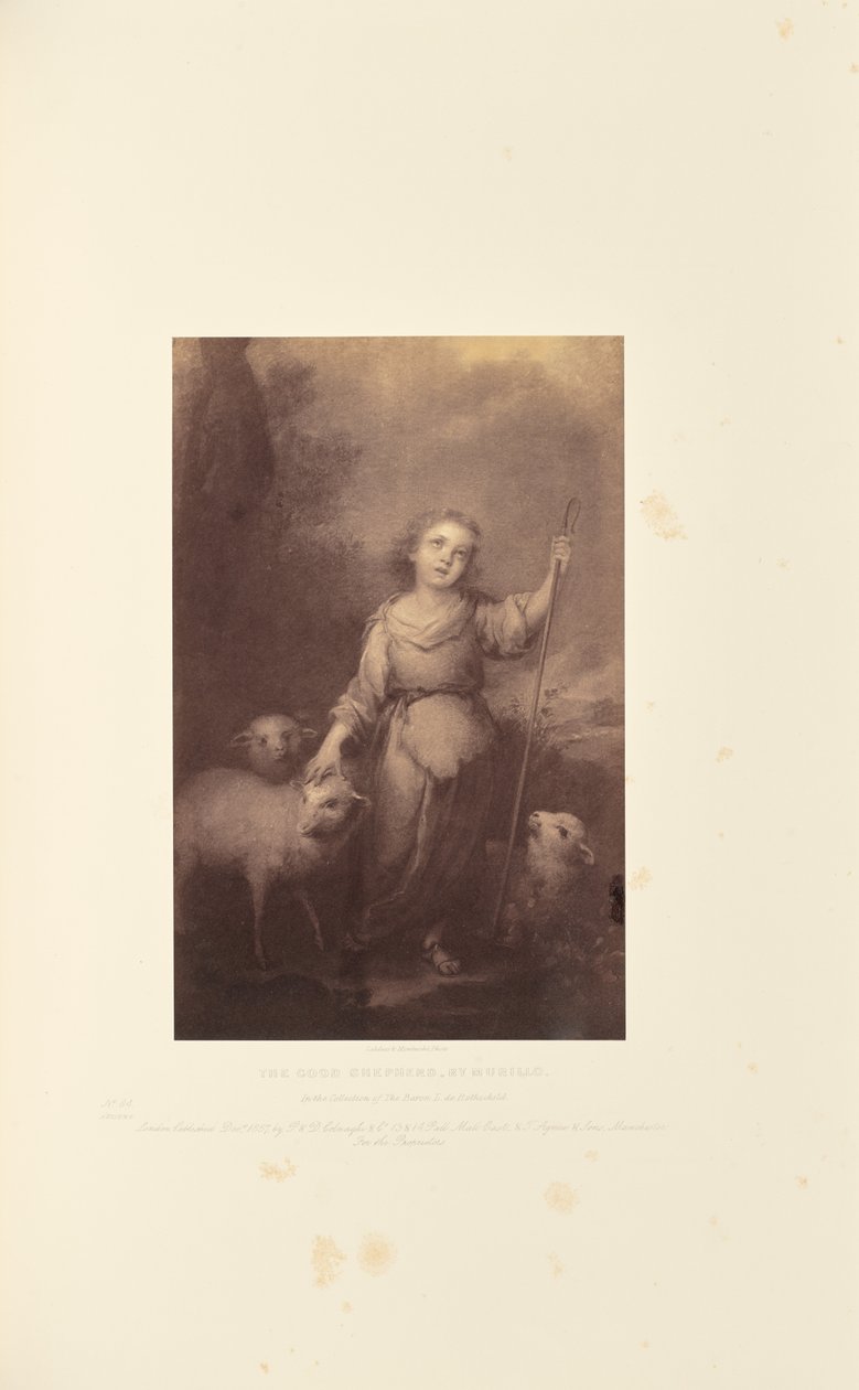 Der gute Hirte, von Murillo von Caldesi and Montecchi