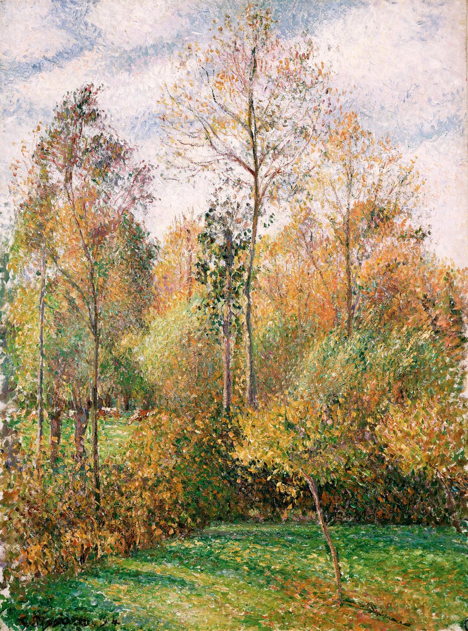 Herbst, Pappeln, Eragny von Camille Jacob Pissarro