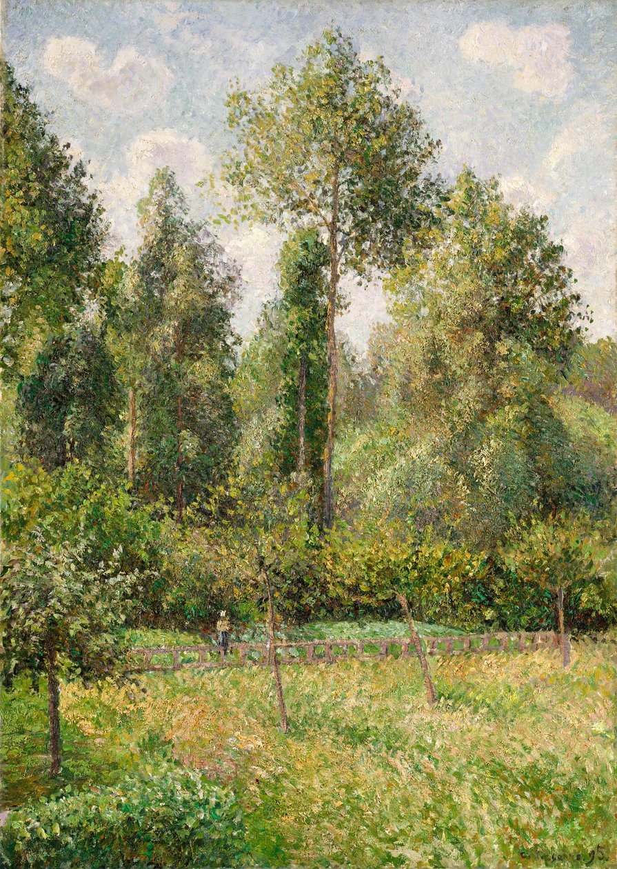 Pappeln, Éragny, 1895 von Camille Jacob Pissarro