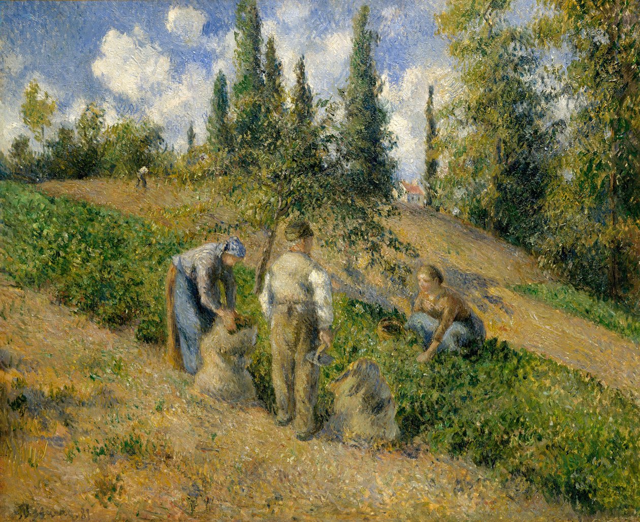 Die Ernte, Pontoise von Camille Jacob Pissarro