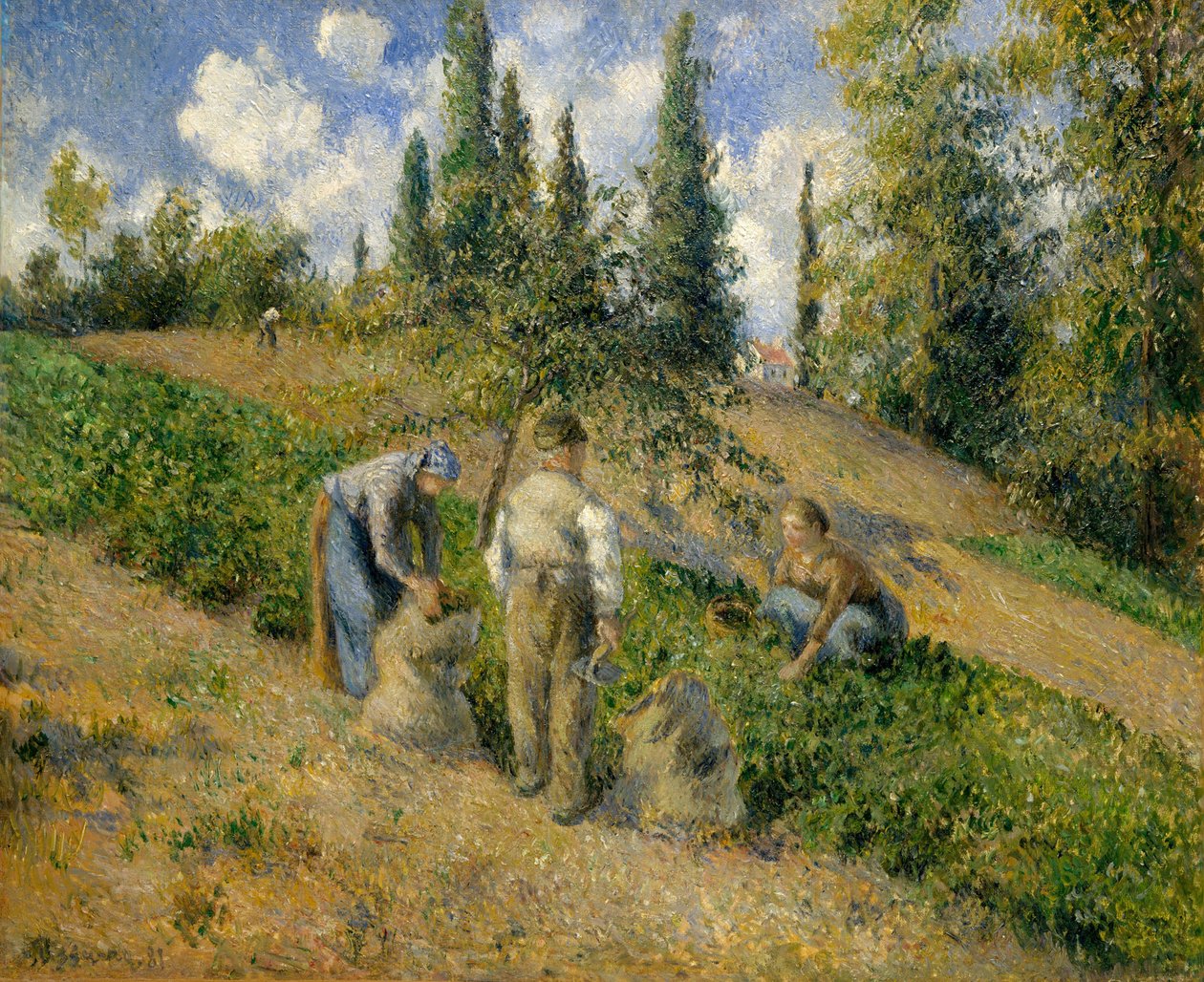 Die Ernte, Pontoise La Récolte, Pontoise, 1881 von Camille Jacob Pissarro