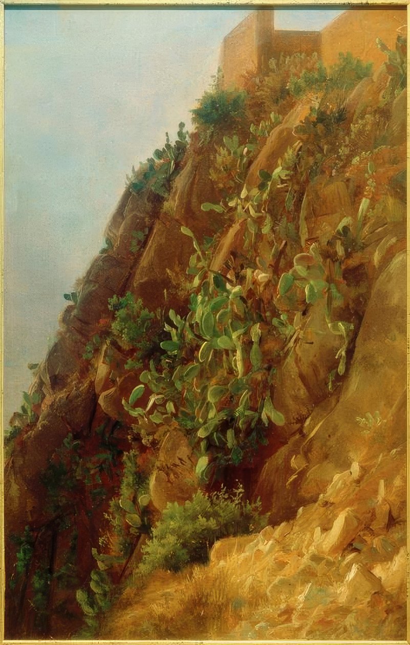 C. Morgenstern, Opuntien am Hang auf Capri von Carl Morgenstern