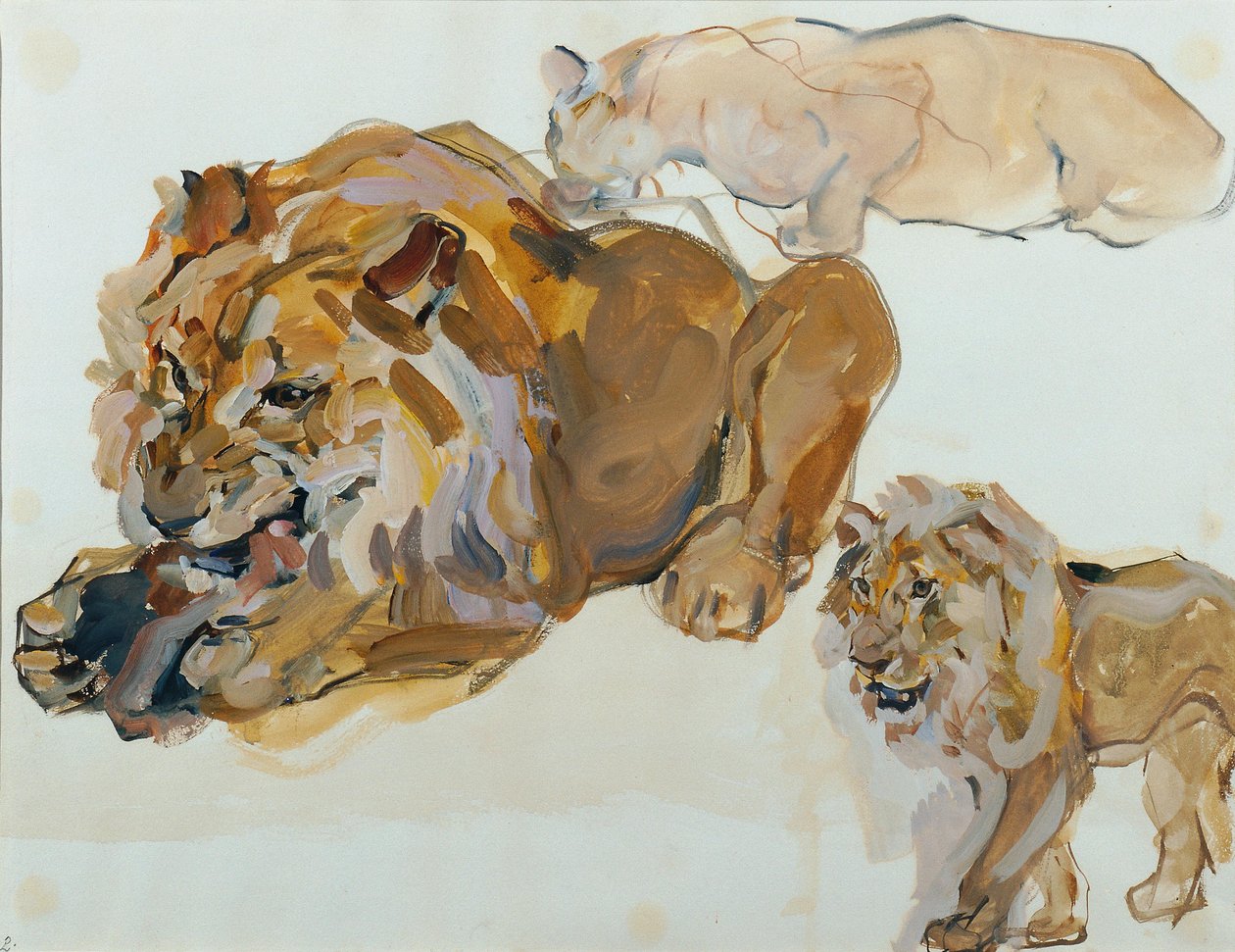 Tierstudie aus Schönbrunn von Carl Fahringer