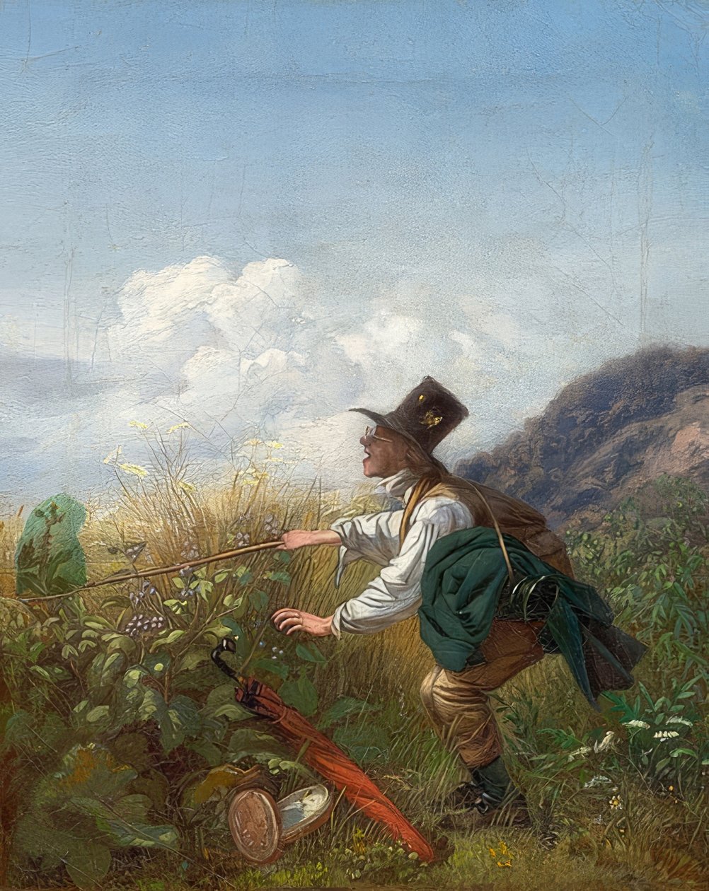 Der Schmetterlingsfänger (Botaniker) von Carl Spitzweg