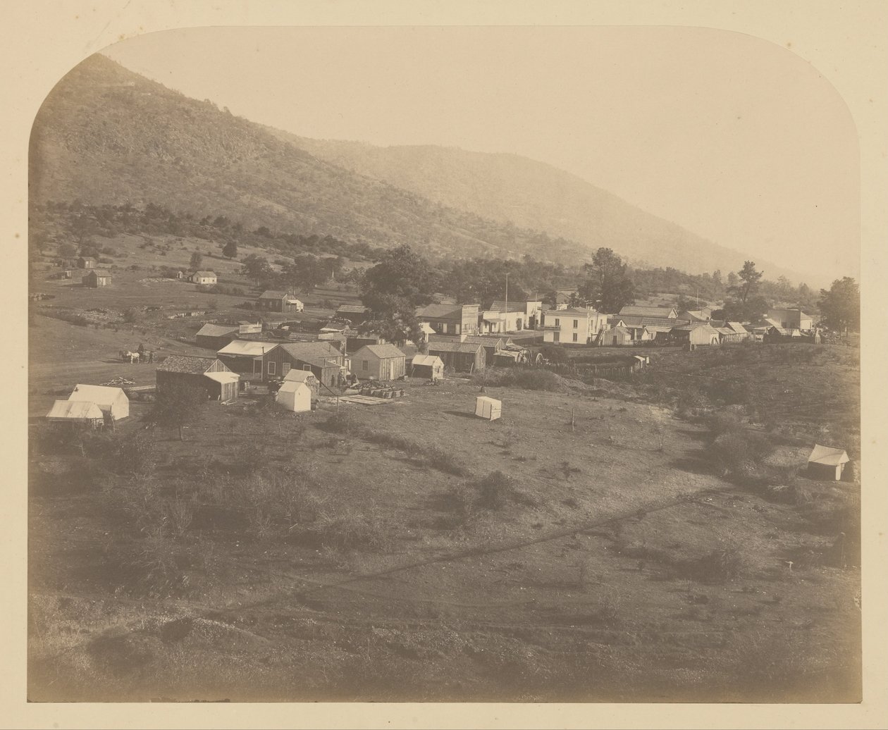 (Bear Valley) von Carleton E. Watkins