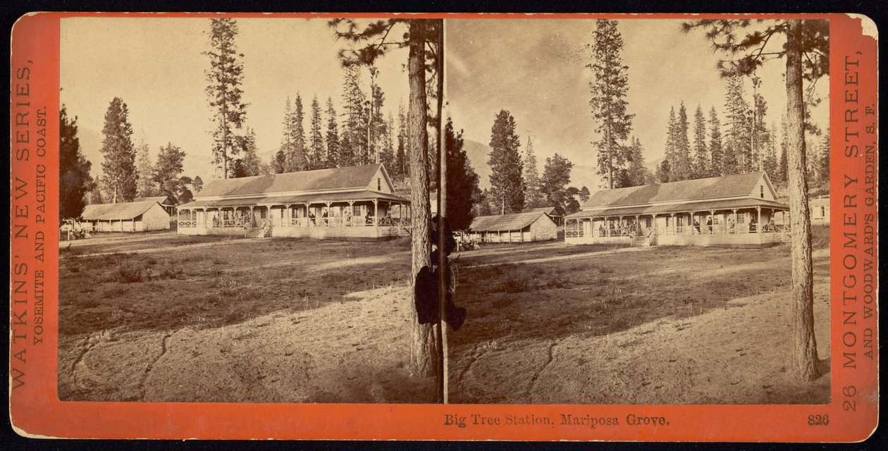 Big Tree Station, Mariposa Grove von Carleton E. Watkins