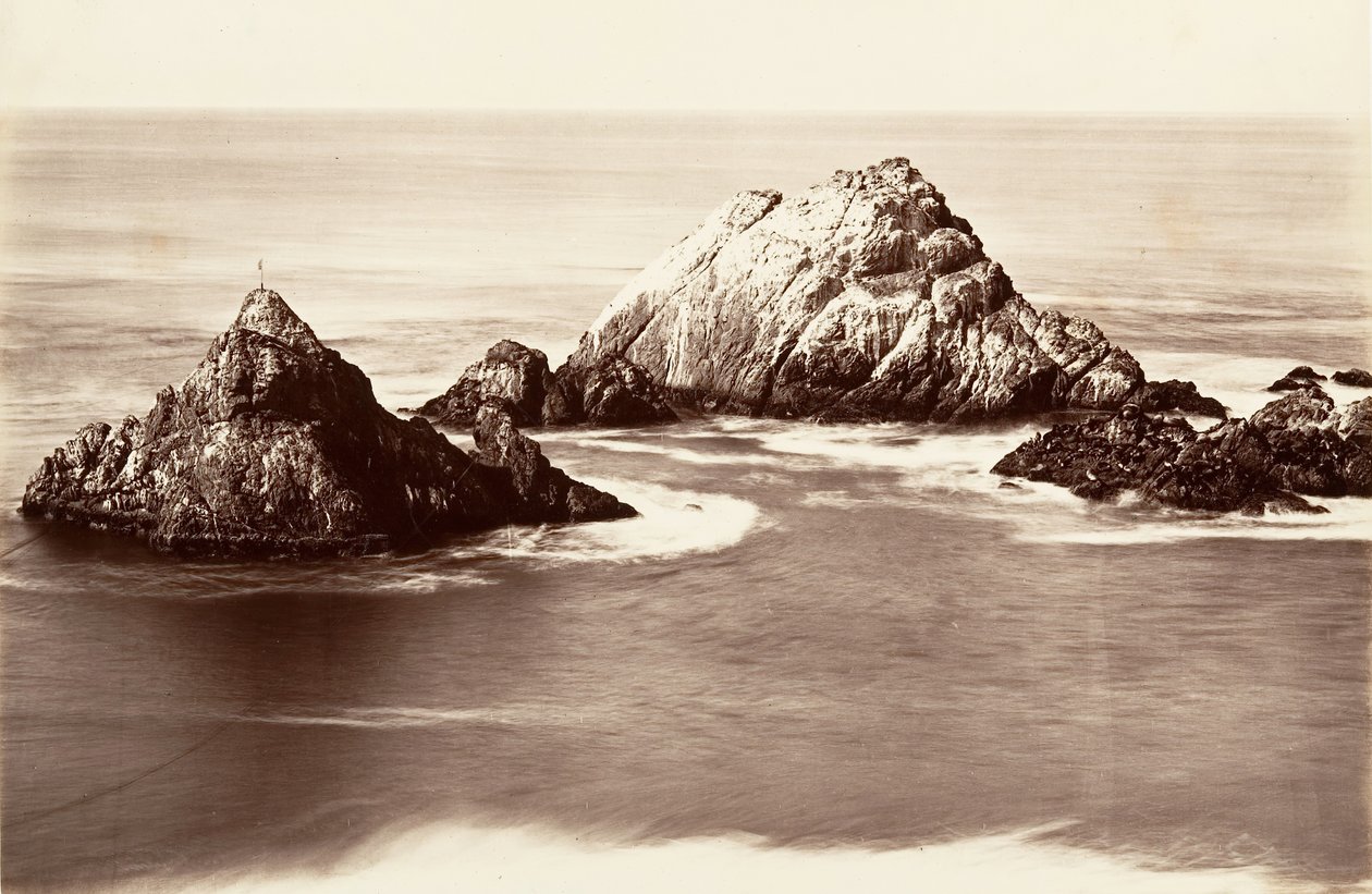 Seal Rocks, 1868-69, gedruckt ca. 1876 von Carleton Emmons Watkins