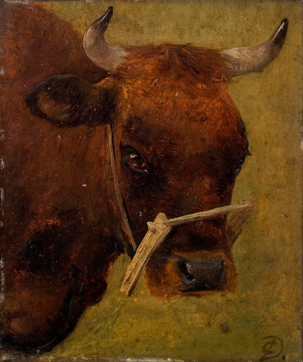 Kopf einer Kuh. Studie. von Carlo Dalgas