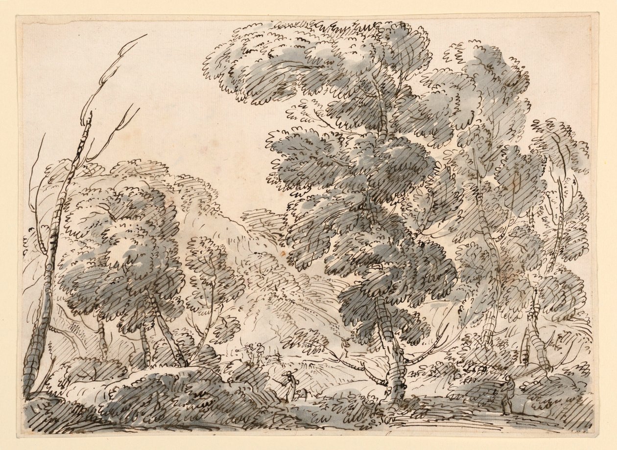 Straße in einem bergigen Land von Carlo Marchionni