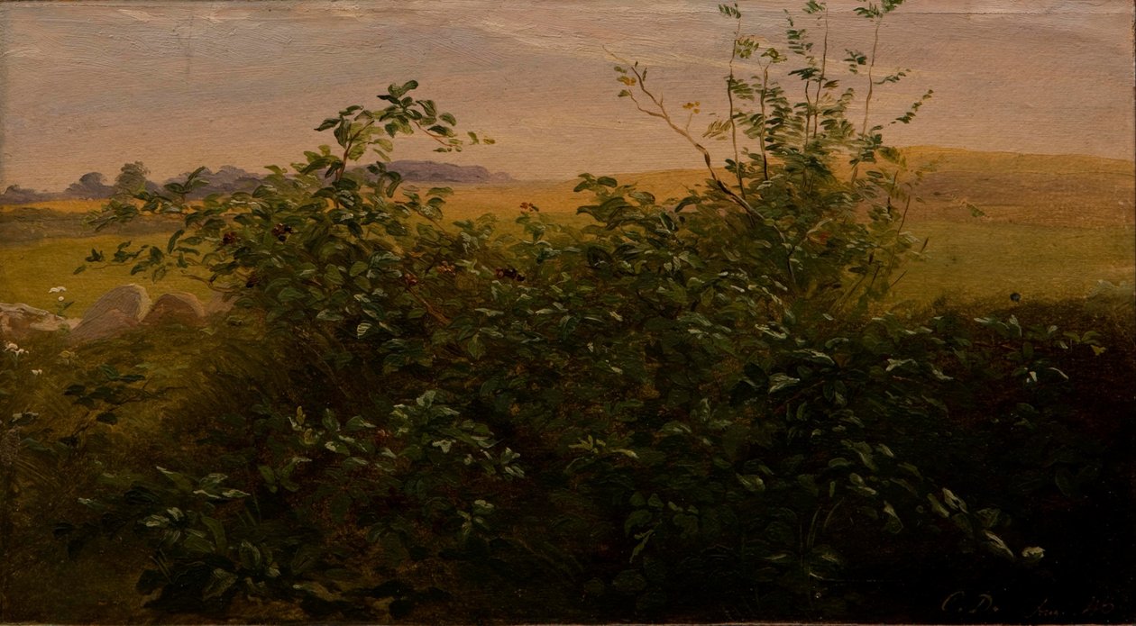 Hecke mit Brombeeren von Carlo Dalgas