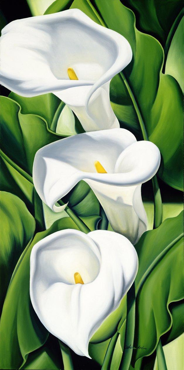 Lilien von Catherine Abel