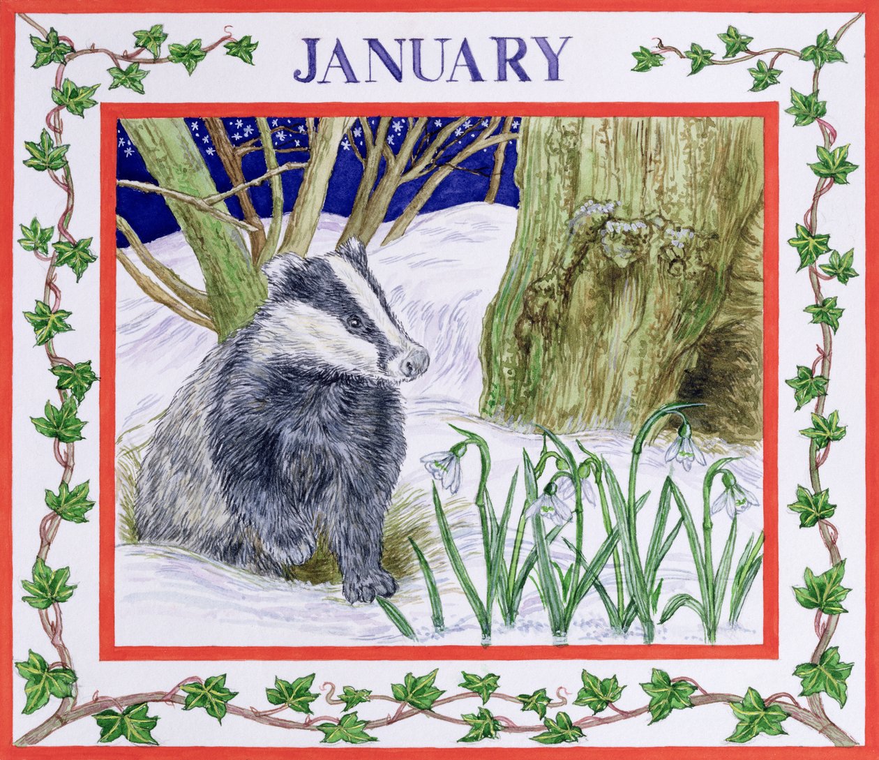 Januar von Catherine Bradbury