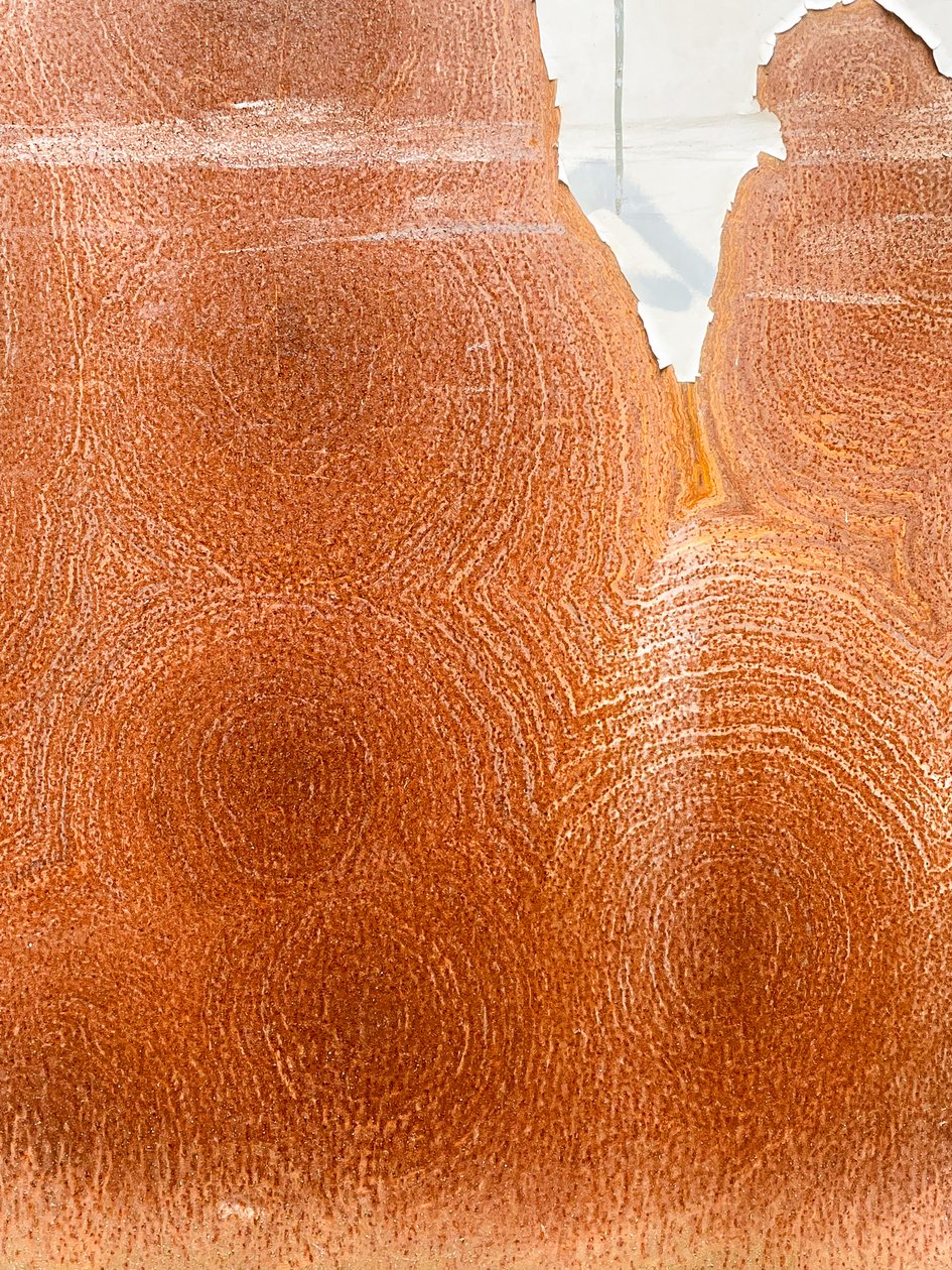 Komposition - Textur, 2023 von Cécile Jamet