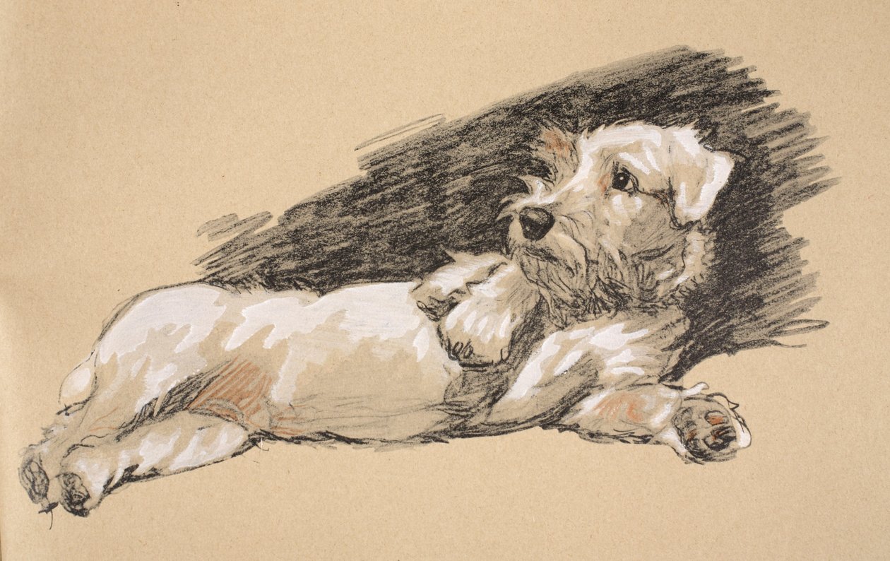 Terrier Detail, 1930, Illustrationen aus seinem Skizzenbuch verwendet für 