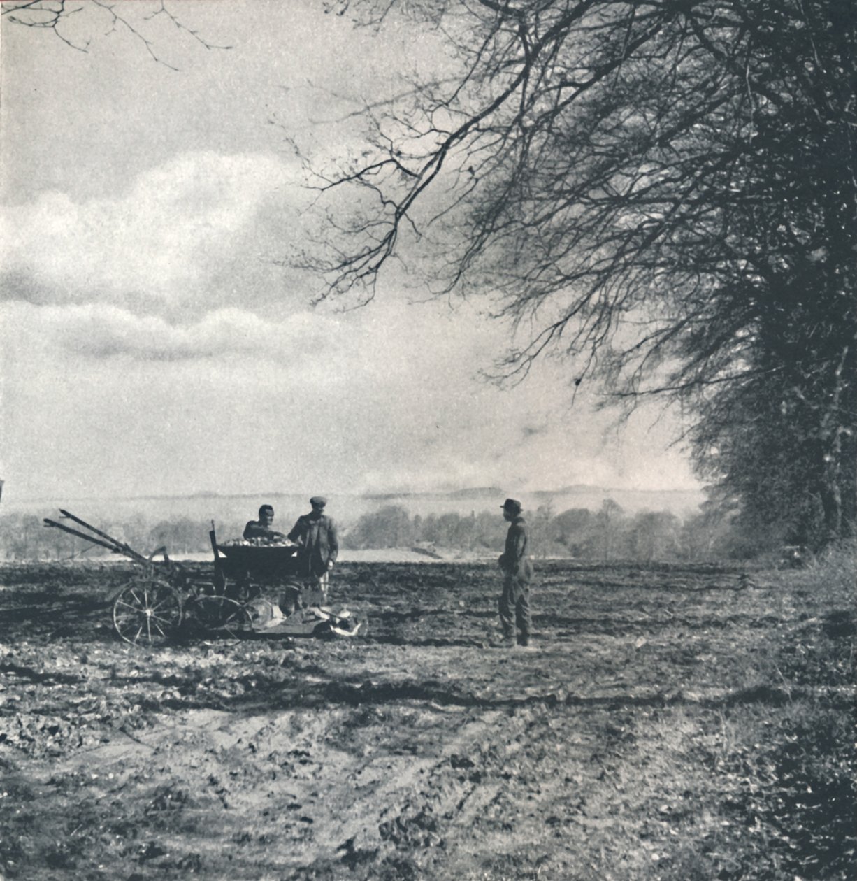Weit entfernt zu Feld und Furche, 1941 von Cecil Beaton