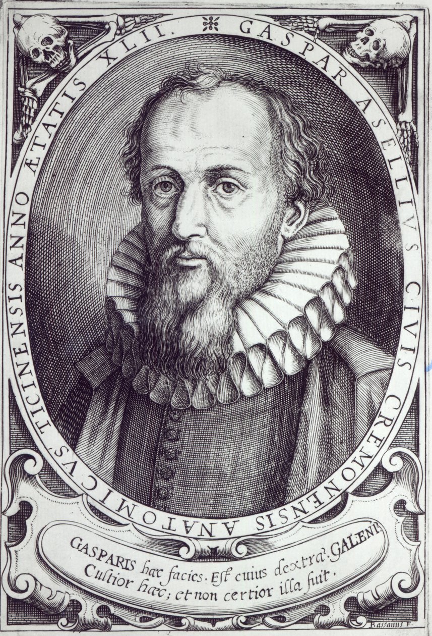 Gaspare Aselli von Cesare Bassano