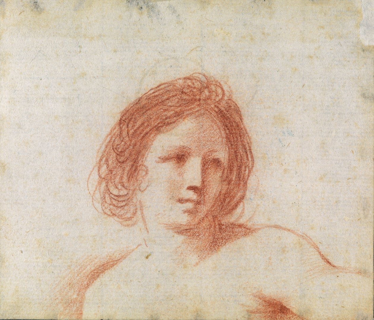 Kopf einer Frau von Cesare Gennari