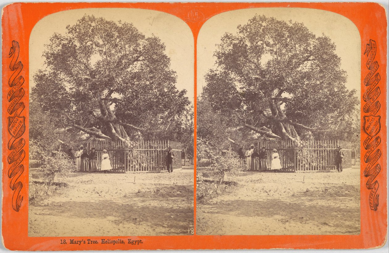 Marys Baum. Heliopolis, Ägypten. von Charles Bierstadt