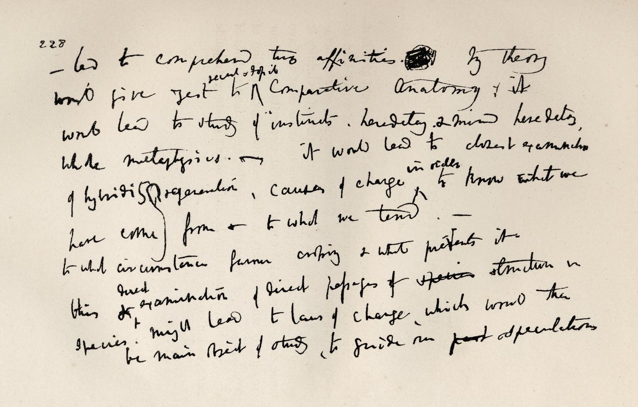 Seite aus einem Darwin-Notizbuch von 1837, aus 